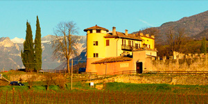 Chi siamo